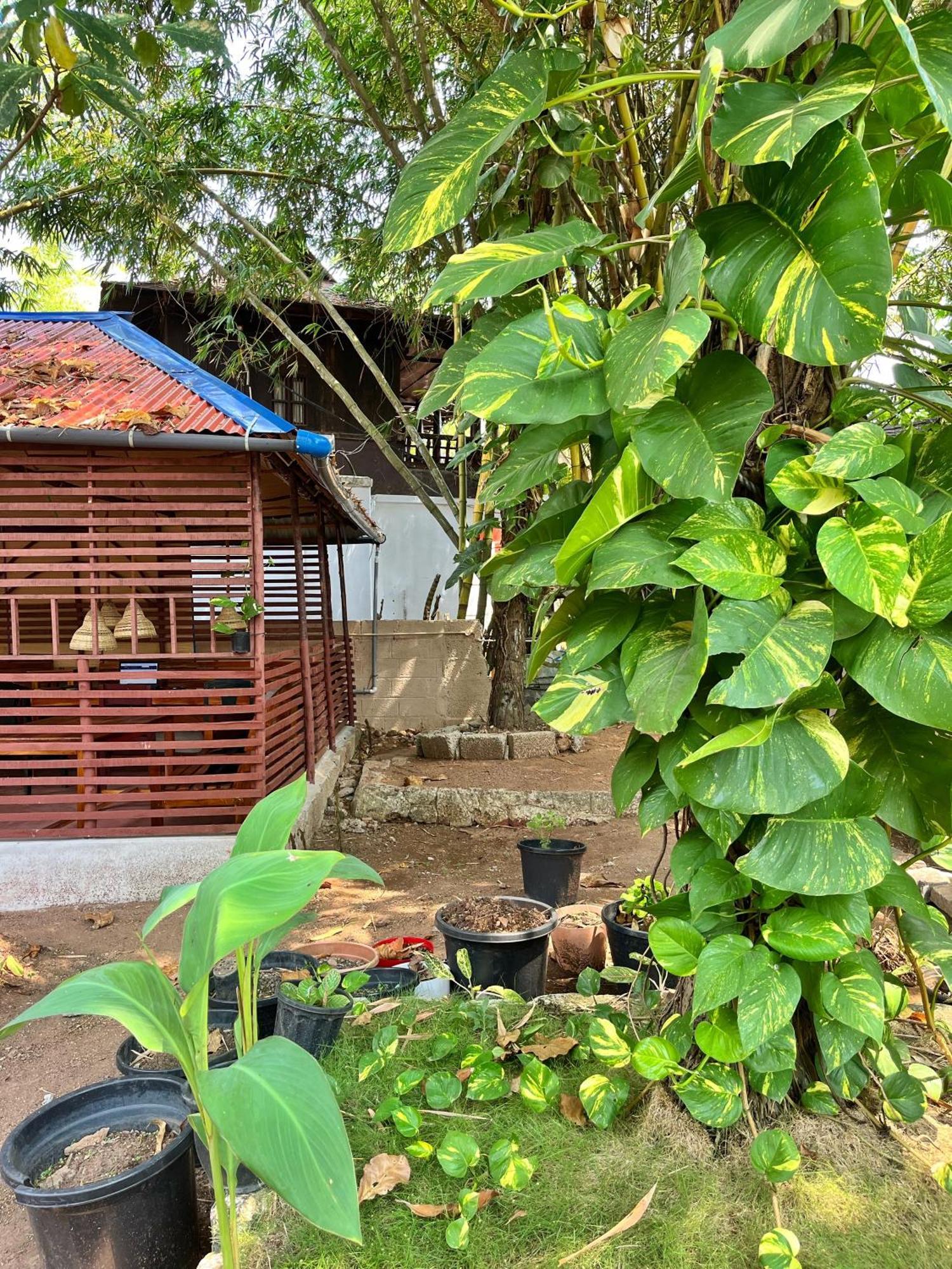 Bava Beach Resort & Retreat Center Varkala Zewnętrze zdjęcie