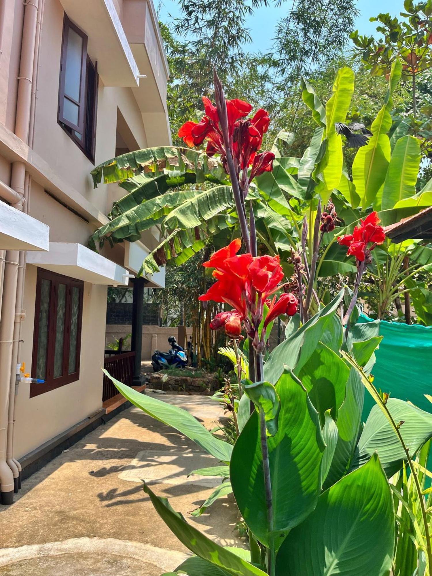 Bava Beach Resort & Retreat Center Varkala Zewnętrze zdjęcie